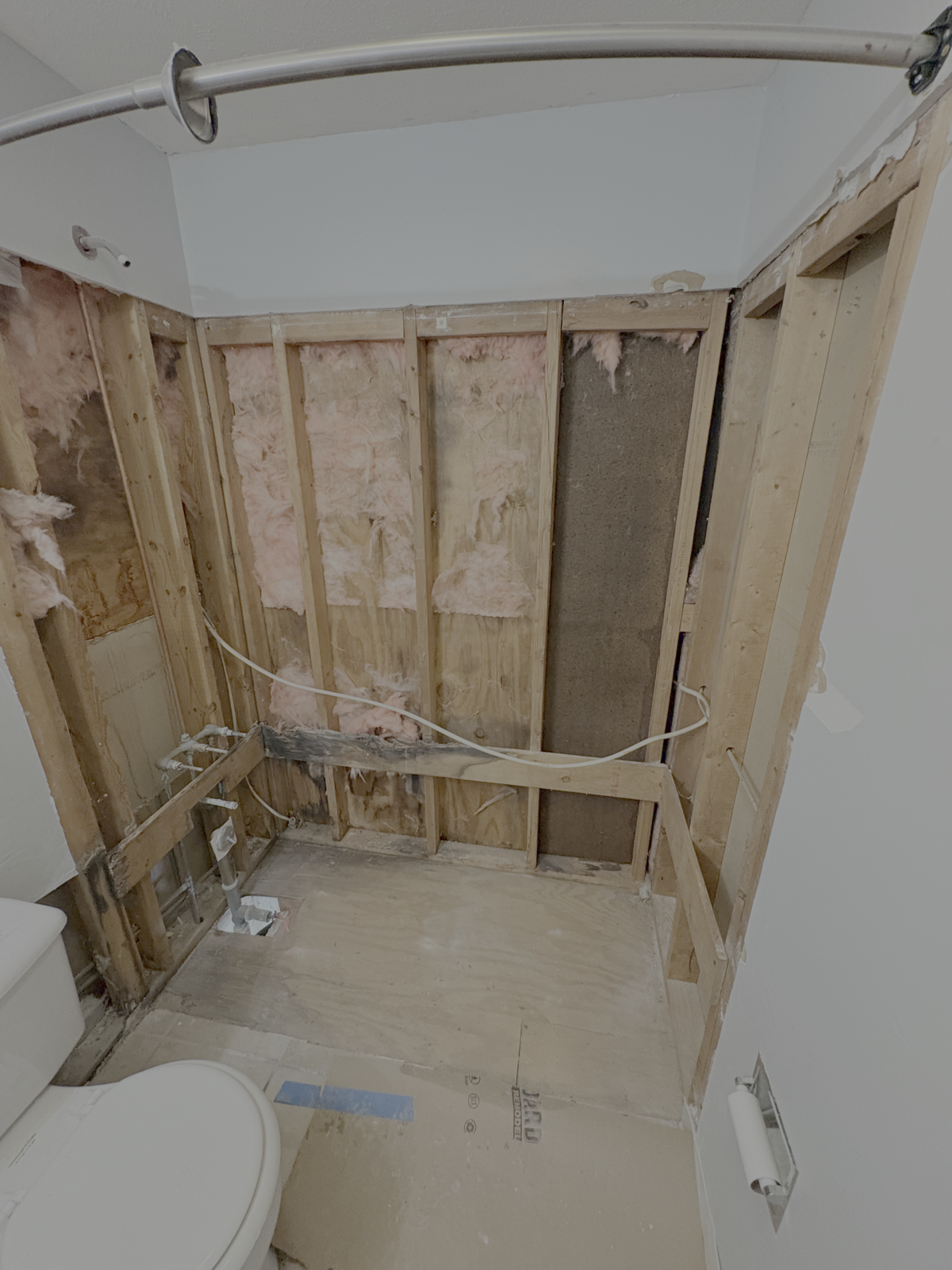 Bathroom before renovation